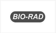 合作客戶_測(cè)試6